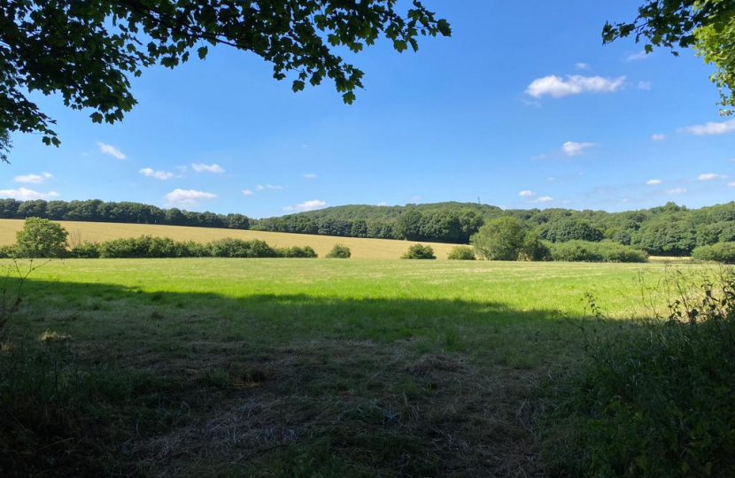 Fields in North East Derbyshire