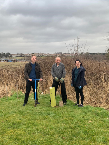 Tree planting in Adlington Park, Wingerworth