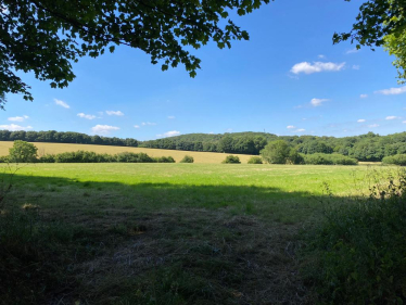 Fields in North East Derbyshire